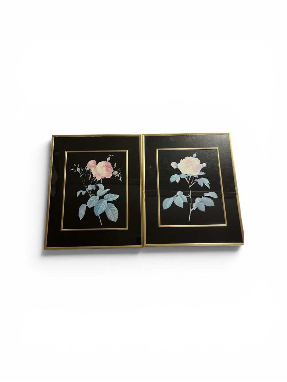 Set of 2 Floral Botanical Wall Art Prints in Black and Gold